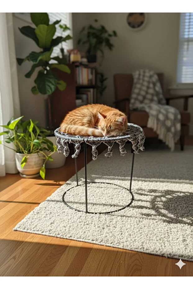 Kedi yuvası yatağı